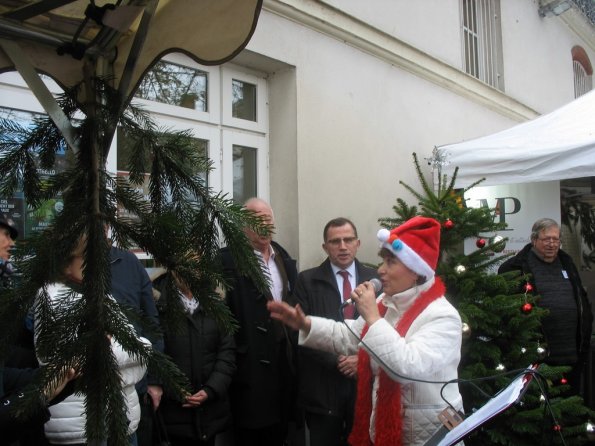 Marché Noël Bailly 2019 (12)